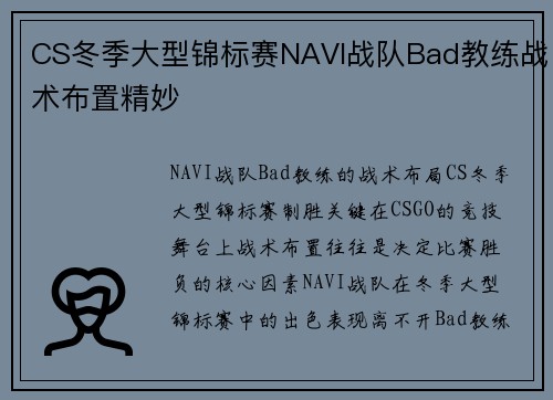 CS冬季大型锦标赛NAVI战队Bad教练战术布置精妙