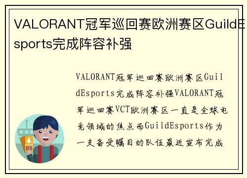 VALORANT冠军巡回赛欧洲赛区GuildEsports完成阵容补强